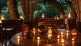 Sabi Sabi Private Game Reserve